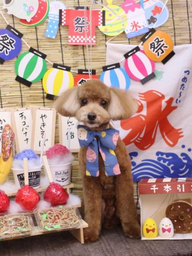 20240713バディくん